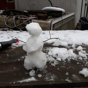 Meet your Posher, Timothy